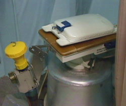 Atlantis toilets