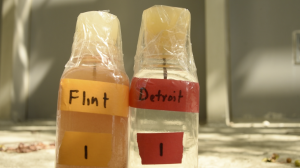 Water samples from the Flint River and Detroit's Lake Huron supply. Image courtesy of the ACLU of Michigan - http://aclumich.org/sites/default/files/images/Flint%20water.png