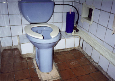 Hospital Toilet