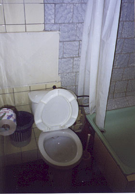 Nursing School Toilet